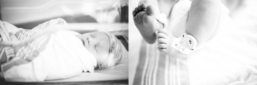 fresh 48 newborn photography