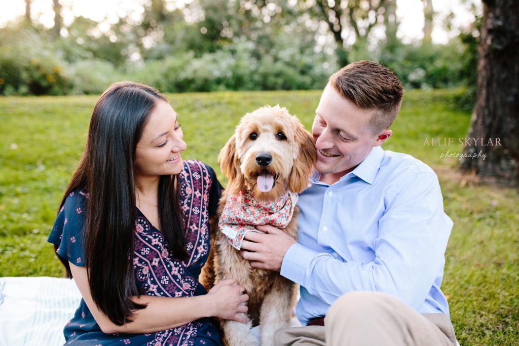engagement-session-with-dogs