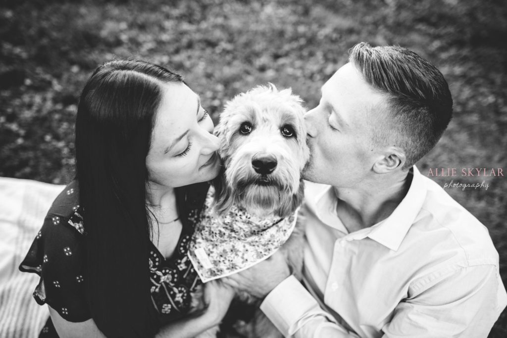 engagement-session-with-dogs