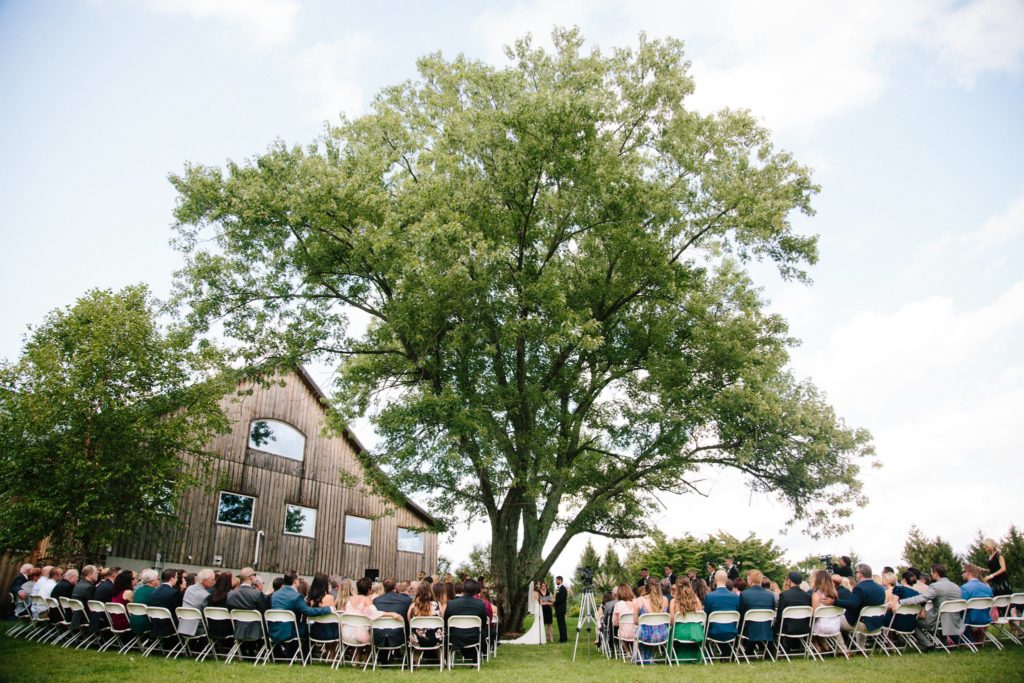 bride and groom get married under a big oak at rose bank winery